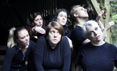Animal Farm, Backyard Theatre